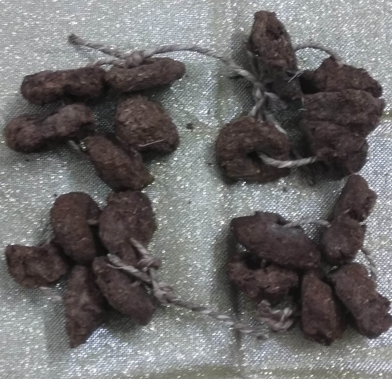 cow dung garlands for holi